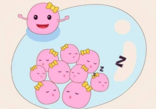 想知道寶寶性別？NT0.07胎心160輕松辨別男女